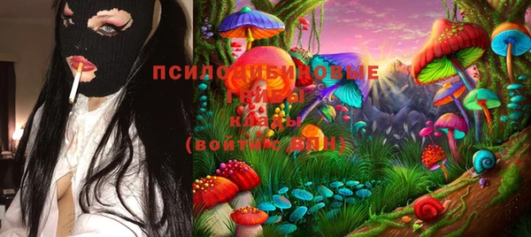 амф Нефтегорск