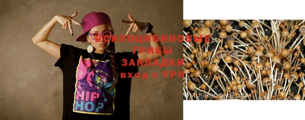 дмт Ачинск
