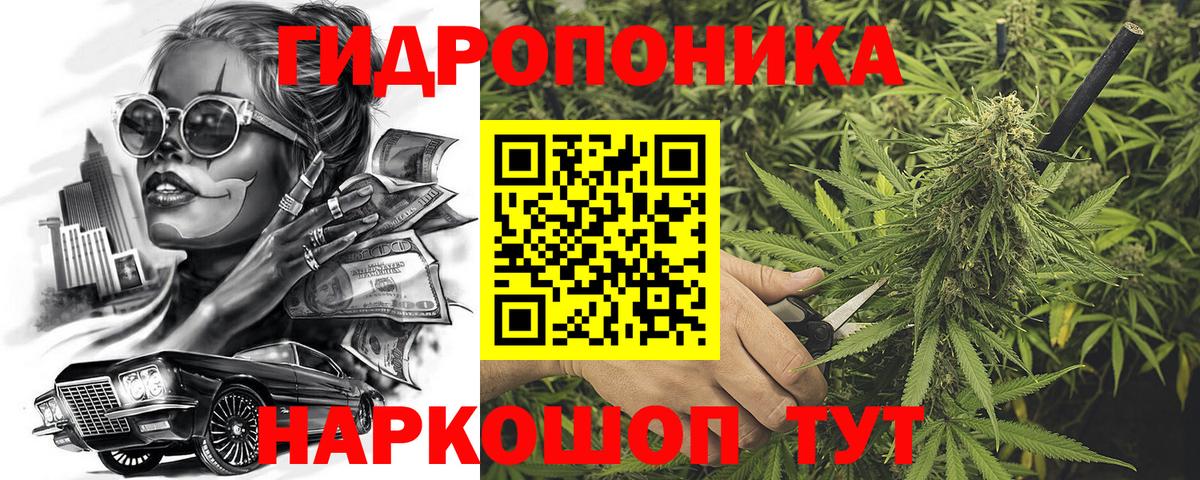 Бошки Шишки White Widow  Бошки марихуана OG Kush  Вход с VPN  Клинцы 